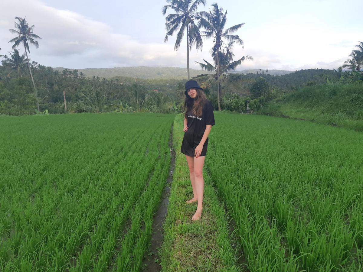 Munduk Bali De Pardis Cottage מראה חיצוני תמונה
