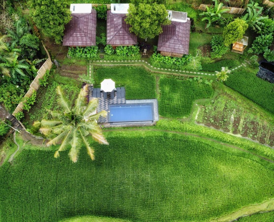 Munduk Bali De Pardis Cottage מראה חיצוני תמונה