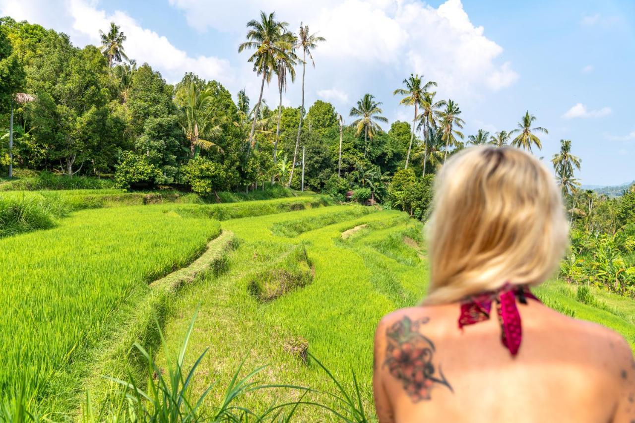 Munduk Bali De Pardis Cottage מראה חיצוני תמונה